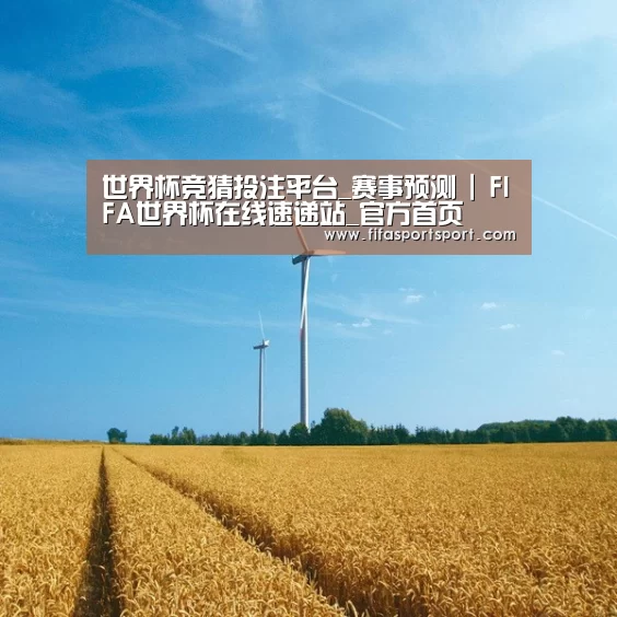 风能
