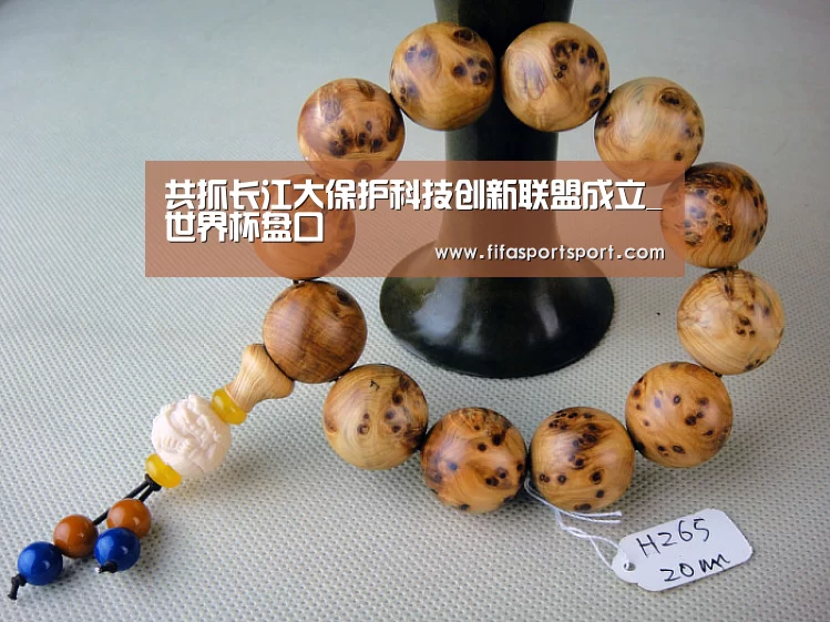 竞猜攻略