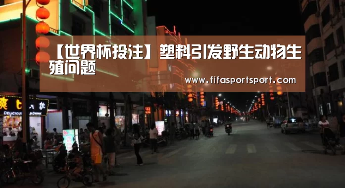 【世界杯投注】塑料引发野生动物生殖问题(图4) 世界杯买球