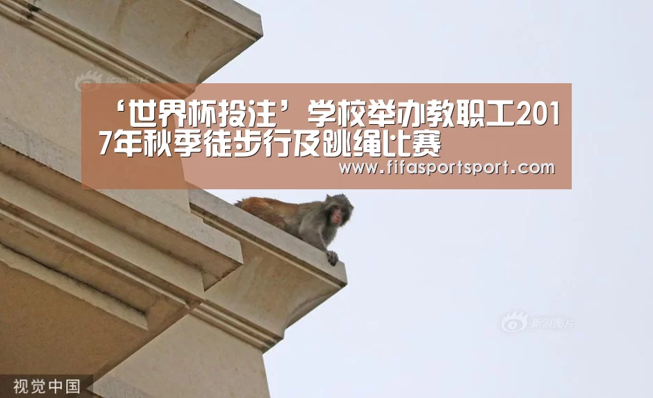 ‘世界杯投注’学校举办教职工2017年秋季徒步行及跳绳比赛(图1) 竞猜攻略