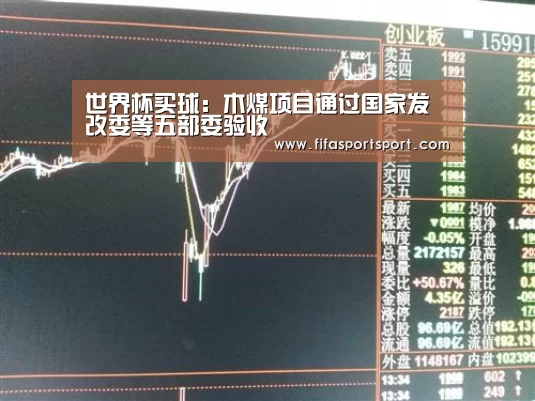 世界杯买球:木煤项目通过国家发改委等五部委验收(图1) 世界杯买球