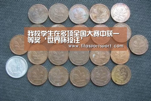 我校学生在多项全国大赛中获一等奖‘世界杯投注’(图2) 世界杯投注