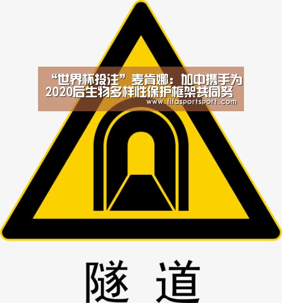 “世界杯投注”麦肯娜:加中携手为2020后生物多样性保护框架共同努力(图1) 世界杯盘口