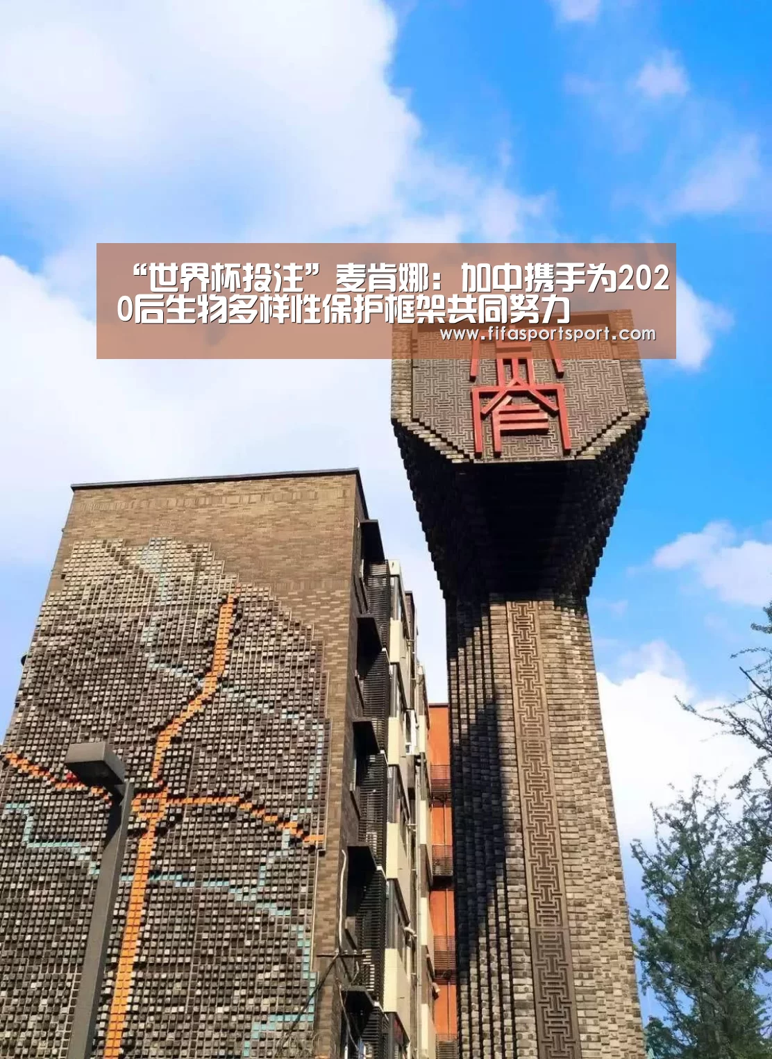 “世界杯投注”麦肯娜:加中携手为2020后生物多样性保护框架共同努力(图2) 世界杯投注