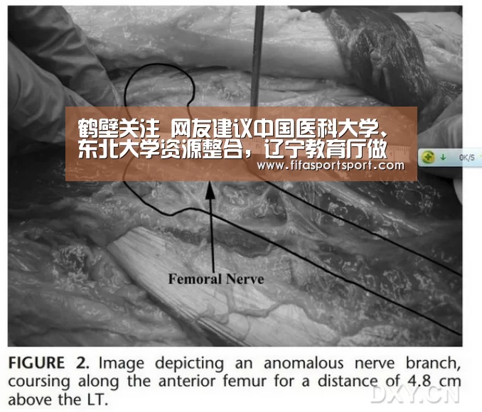 鹤壁关注 网友建议中国医科大学、东北大学资源整合,辽宁教育厅做回复“世界杯盘口”(图2) 世界杯投注