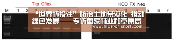 “世界杯投注”防治土地荒漠化 推动绿色发展——专访国家林业和草原局副局长刘东生(图1) 世界杯盘口