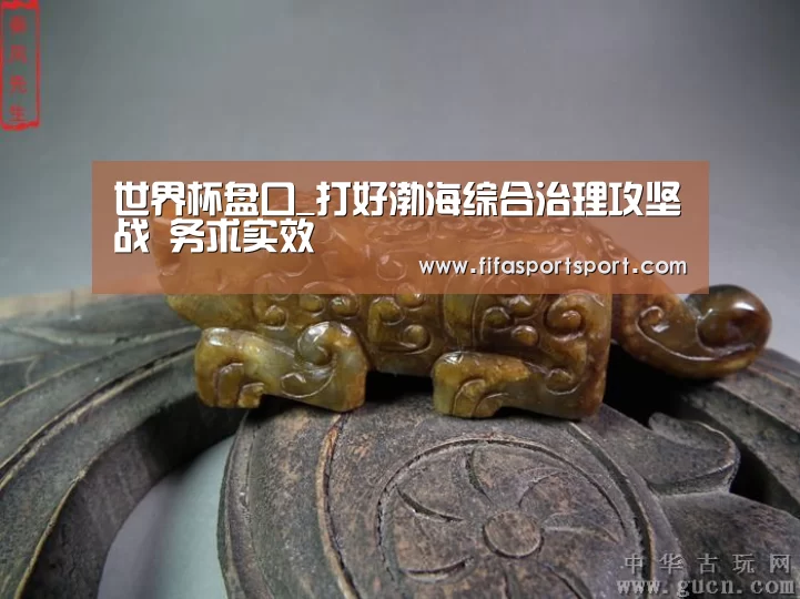 世界杯盘口_打好渤海综合治理攻坚战 务求实效(图2) 世界杯投注
