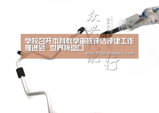 学校召开本科教学审核评估评建工作推进会-世界杯盘口(图1) 世界杯盘口